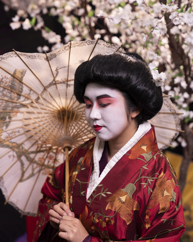 Framed by delicate blossoms and a traditional parasol, this portrait captures a serene moment of grace, color, and cultural beauty.